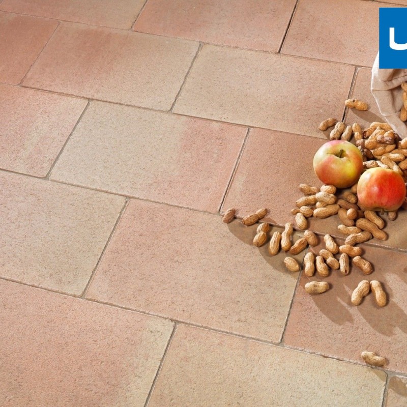 mogyoró